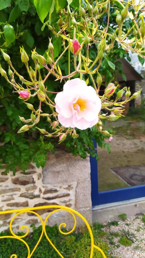 Ker Anahid - L'Atelier Bed & Breakfast Pleslin-Trigavou ภายนอก รูปภาพ