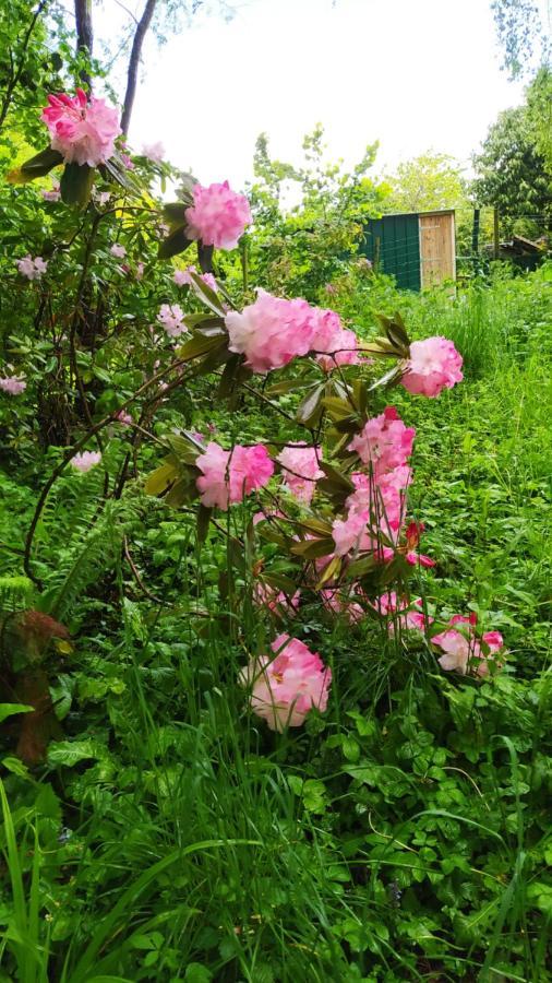 Ker Anahid - L'Atelier Bed & Breakfast Pleslin-Trigavou ภายนอก รูปภาพ